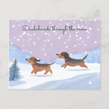 雪の中の可愛いダックスフントのクリスマス