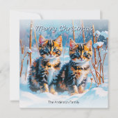 雪の中の可愛いトラ猫の子猫たち クリスマス ペット 動物 (正面)