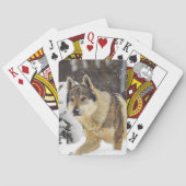 雪の中の大きな美しい灰色の野生の狼 トランプ (裏面)