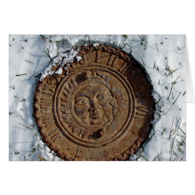 雪の中の太陽は暖かい場所に行こう (正面横)