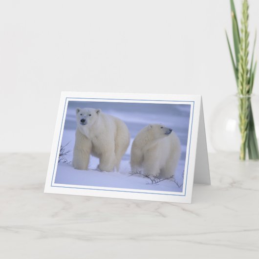 雪の中の子グマとホッキョクグマの母 シーズンカード (正面)