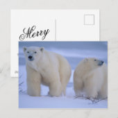 雪の中の子グマとホッキョクグマの母 シーズンポストカード (正面/裏面)