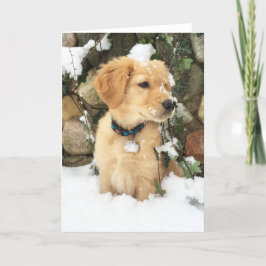 雪の中の子犬 |黄金の子犬 シーズンカード
