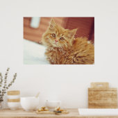 雪の中の子猫 ポスター (キッチン)