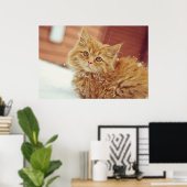 雪の中の子猫 ポスター (ホームオフィス)