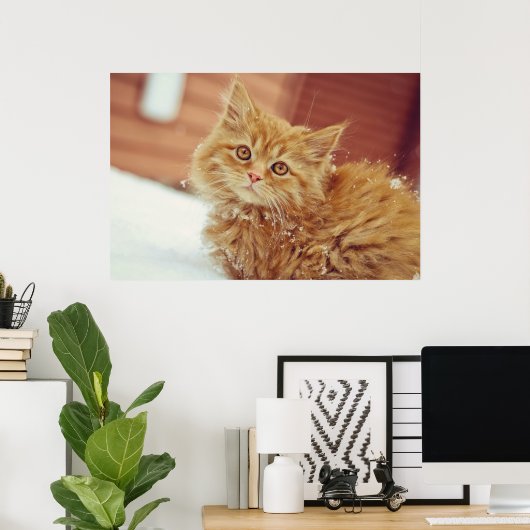 雪の中の子猫 ポスター (ホームオフィス)