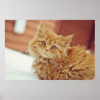 雪の中の子猫 ポスター