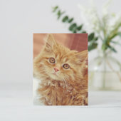 雪の中の子猫 ポストカード (スタンド正面)