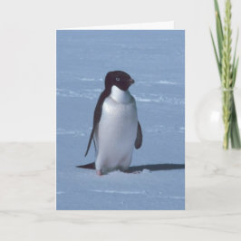 雪の中の孤独なペンギン サンキューカード