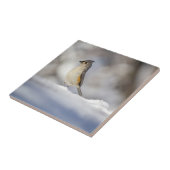 雪の中の小さな房状のタイトマウス タイル (側面)