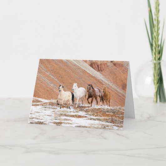 雪の中の小さな馬の群れのある隠れ家の牧場 カード (正面)