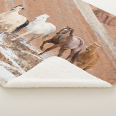 雪の中の小さな馬の群れのある隠れ家の牧場 シェルパブランケット (3/4)