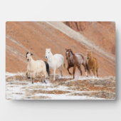 雪の中の小さな馬の群れのある隠れ家の牧場 フォトプラーク (正面)