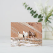 雪の中の小さな馬の群れのある隠れ家の牧場 ポストカード (スタンド正面)