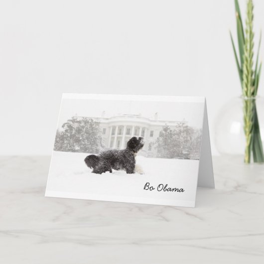 雪の中の小浜氏 カード (正面)