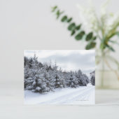 雪の中の常緑樹と道路 ポストカード (スタンド正面)