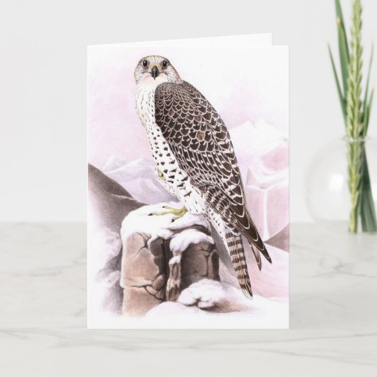 雪の中の折り畳みノートカード鳥 ノートカード (正面)