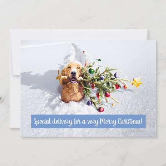 雪の中の木と犬 招待状 (正面)