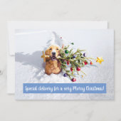 雪の中の木のある犬 招待状 (正面)