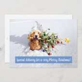 雪の中の木のある犬 招待状 (正面/裏面)