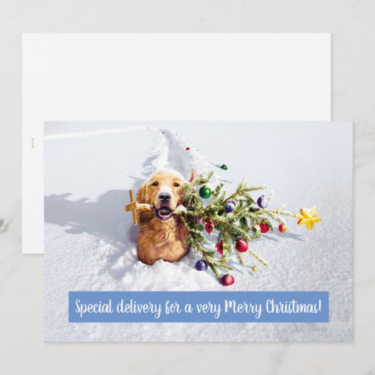 雪の中の木のある犬 招待状 (正面/裏面)