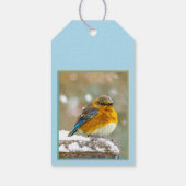 雪の中の東部ブルーバード – オリジナル写真 ギフトタグ (裏面)