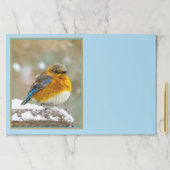 雪の中の東部ブルーバード – オリジナル写真 ペーパーパッド (インサイチュ)