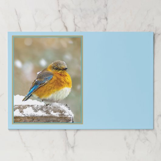 雪の中の東部ブルーバード – オリジナル写真 ペーパーパッド (正面)