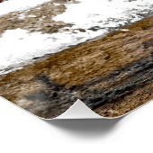 雪の中の東部ブルーバード – オリジナル写真 ポスター (コーナー)