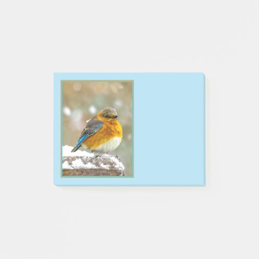 雪の中の東部ブルーバード – オリジナル写真 ポストイット (正面)