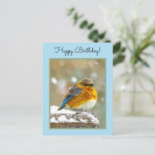 雪の中の東部ブルーバード – オリジナル写真 ポストカード (スタンド正面)