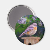 雪の中の東部ブルーバード – オリジナル写真 マグネット (正面/裏面)