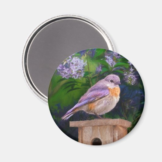 雪の中の東部ブルーバード – オリジナル写真 マグネット (正面/裏面)