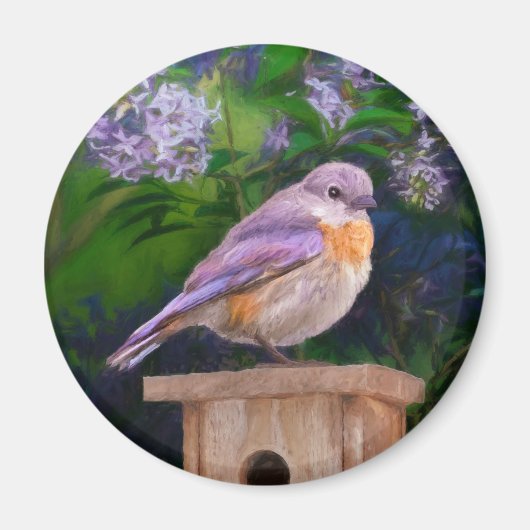 雪の中の東部ブルーバード – オリジナル写真 マグネット (正面)