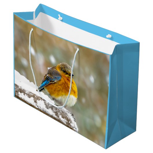 雪の中の東部ブルーバード – オリジナル写真 ラージペーパーバッグ (正面アングル)