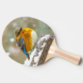 雪の中の東部ブルーバード – オリジナル写真 卓球ラケット (横)