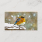 雪の中の東部ブルーバード – オリジナル写真 名刺 (裏面)