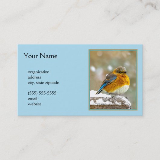 雪の中の東部ブルーバード – オリジナル写真 名刺 (正面)