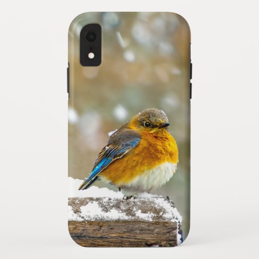 雪の中の東部ブルーバード – オリジナル写真 Case-Mate iPhoneケース (裏面)