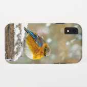 雪の中の東部ブルーバード – オリジナル写真 Case-Mate iPhoneケース (裏面(横))