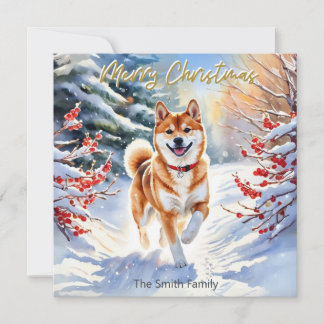 雪の中の柴犬 メリークリスマス シーズンカード