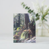 雪の中の森のトロール#2 ポストカード (スタンド正面)