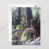 雪の中の森のトロール#2 ポストカード (正面/裏面)