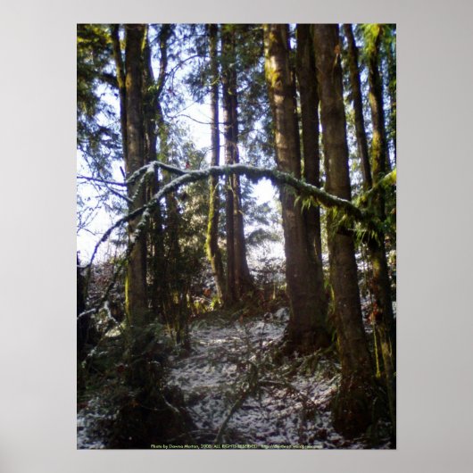 雪の中の森の太陽#32 ポスター (正面)