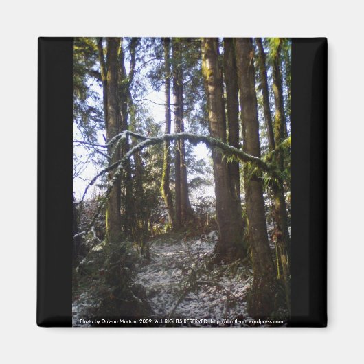 雪の中の森の太陽#32 マグネット (正面)