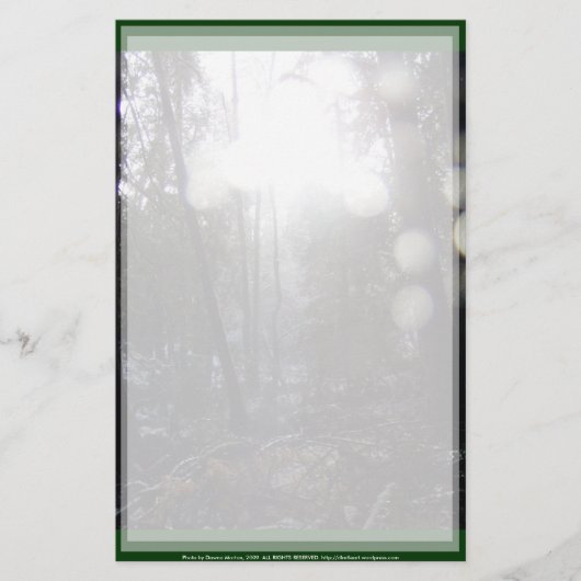 雪の中の森の太陽#64 便箋 (正面)