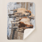 雪の中の混成馬ランニングの群れ シェルパブランケット (正面)