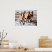 雪の中の混成馬ランニングの群れ ポスター (キッチン)