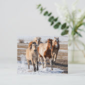 雪の中の混成馬ランニングの群れ ポストカード (スタンド正面)