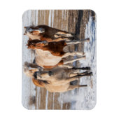 雪の中の混成馬ランニングの群れ マグネット (縦)